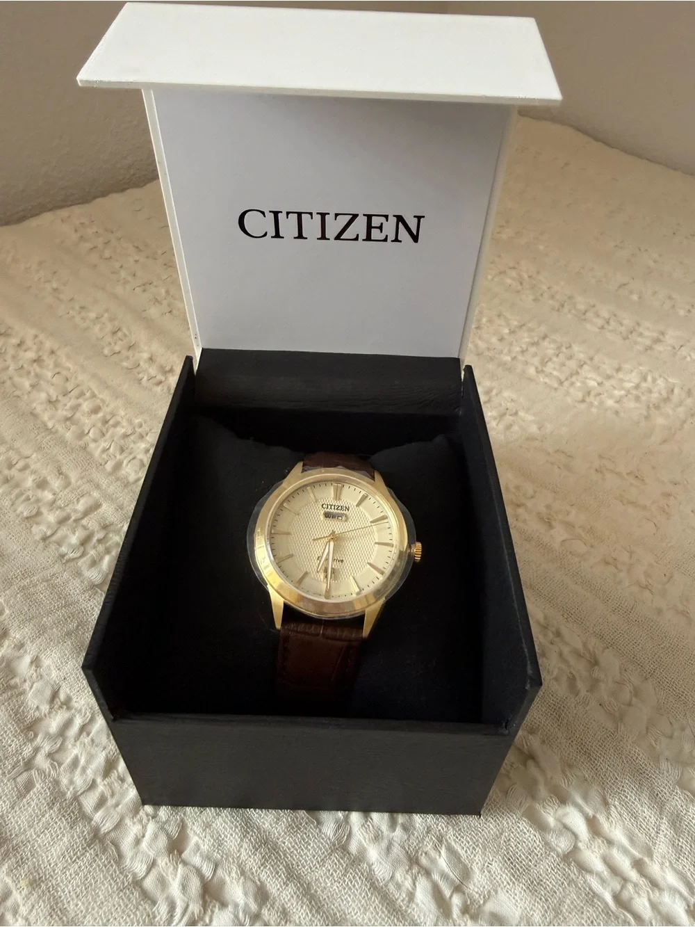 Citizen Gold-Tone Watch with Brown Leather Strap